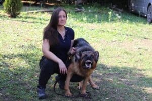 A woman in active gear squatting beside her German Shepherd dog in Protection Mode!