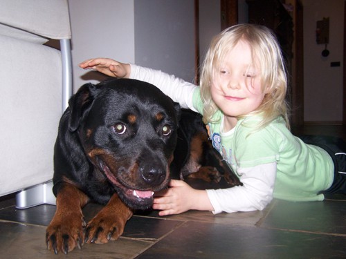 Personal Protection Dog with his new happy family