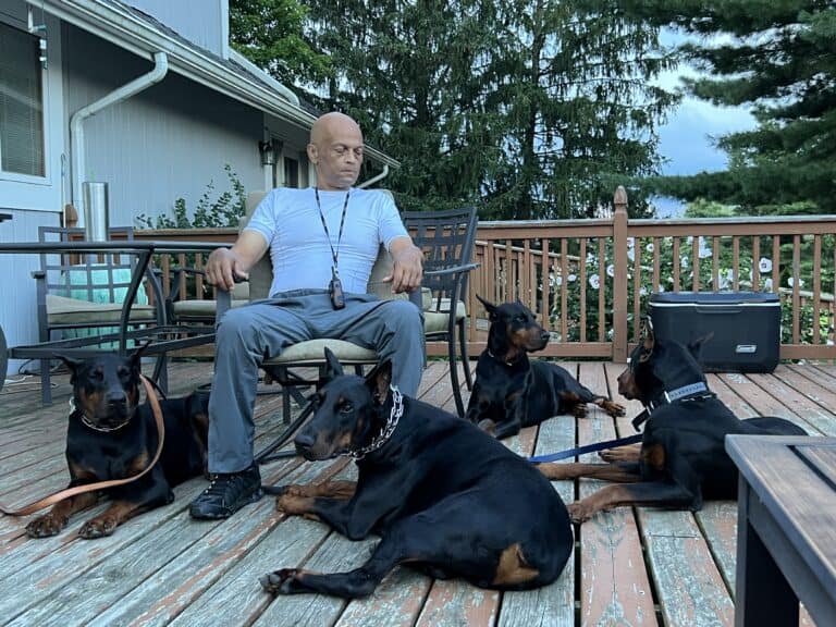 Mr.Stokes with his Executive Personal Protection Dobermans