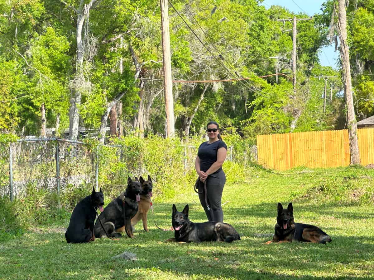 Bonding with Protection Dogs are important