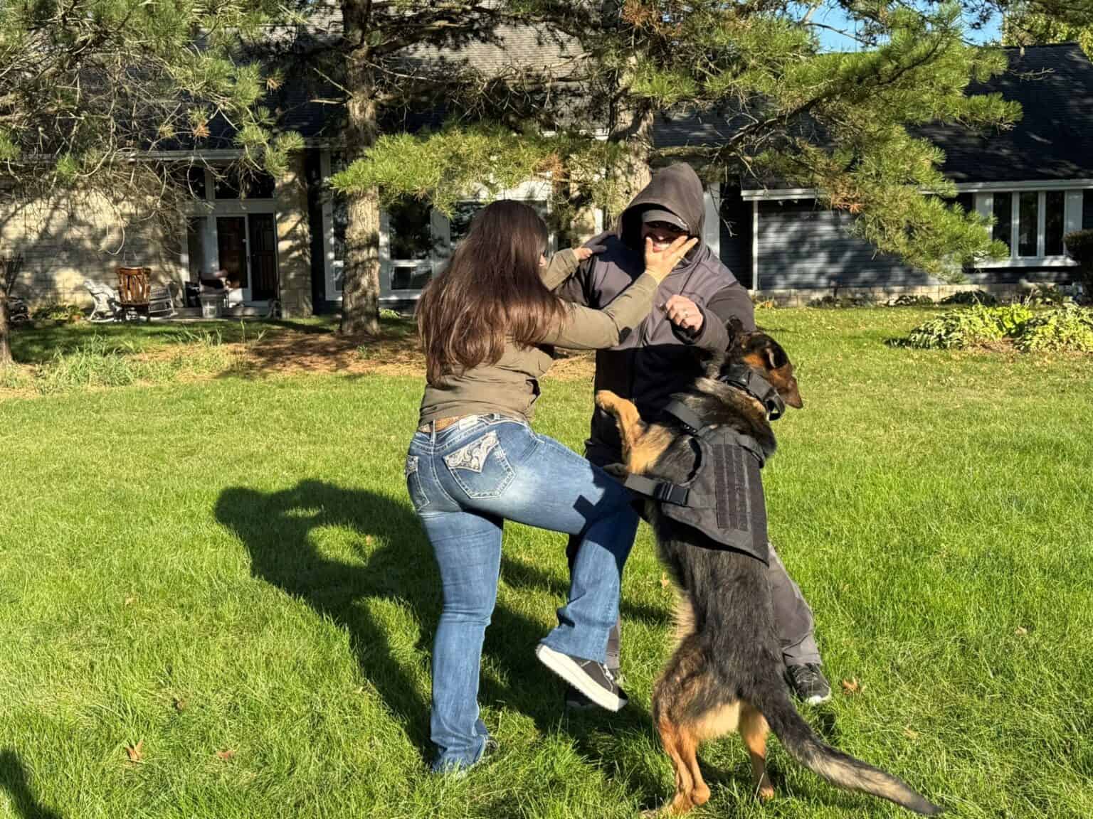 Real-Life Protection Dog fighting the threat on his owner