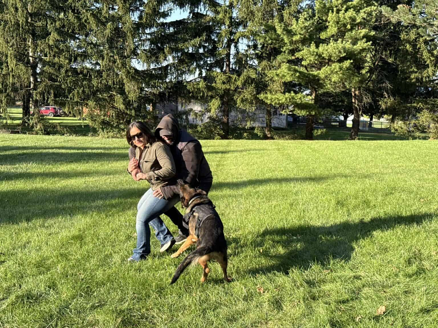 Protection Dog saving his owner from an attacker