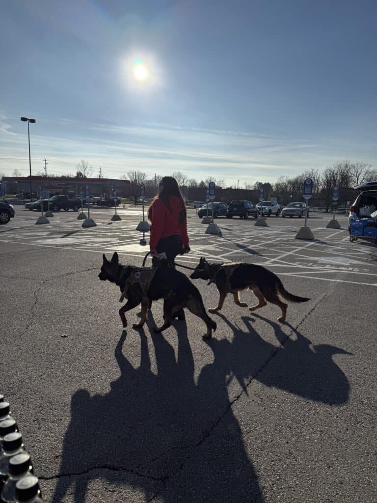 Personal Protection Dogs on Duty