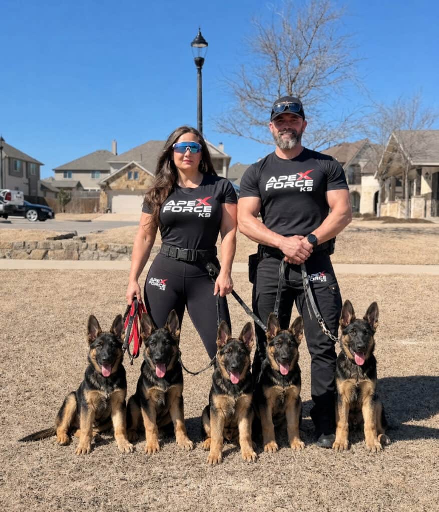 Elite Family and Personal Protection Dogs